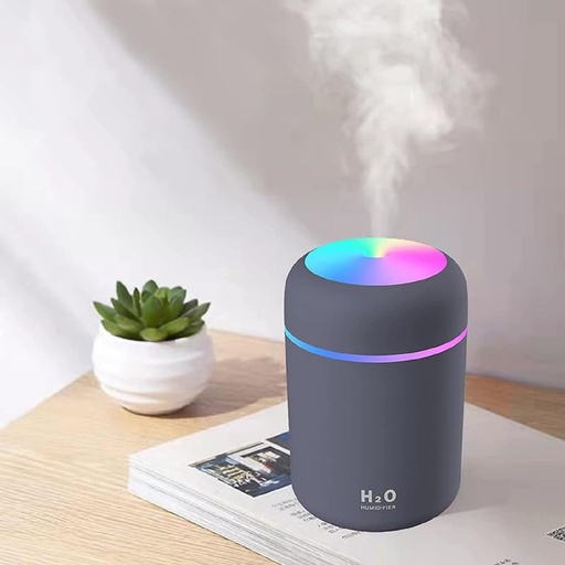 Portable Mini Humidifier